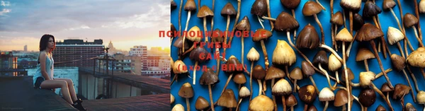 марки nbome Горняк