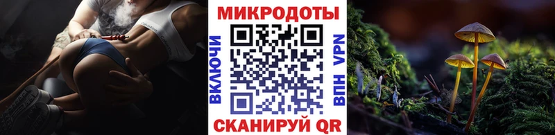 магазин продажи наркотиков  Дальнереченск  MEGA зеркало  Псилоцибиновые грибы Psilocybine cubensis 